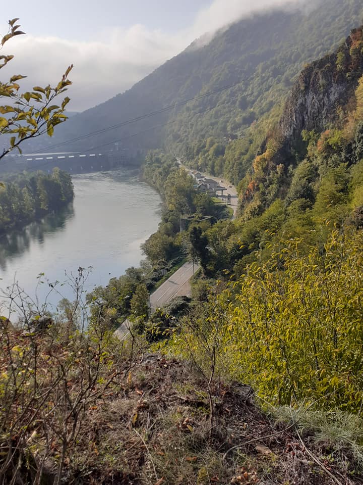pogled