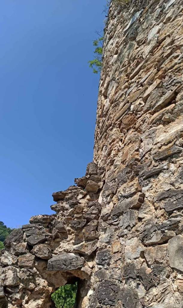 pogled