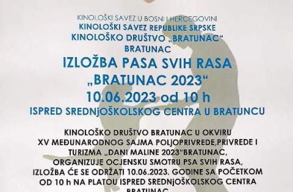 izložba