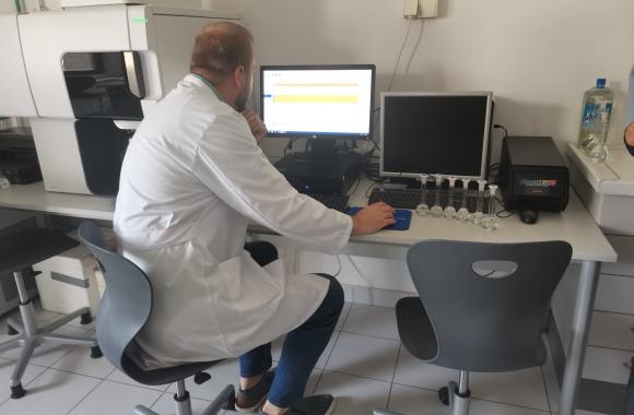 lab
