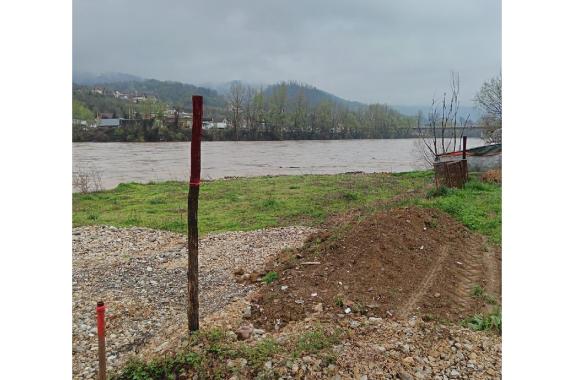 drina karakaj