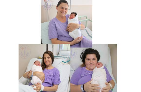 bebe