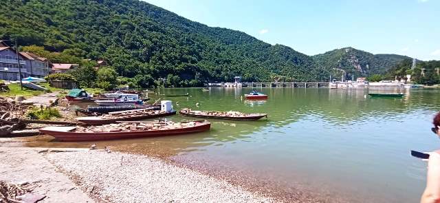 Divic priklupljeno smece camci